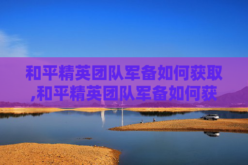 和平精英团队军备如何获取,和平精英团队军备如何获取衣服