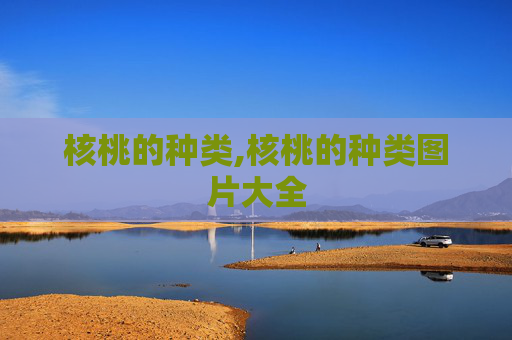 核桃的种类,核桃的种类图片大全
