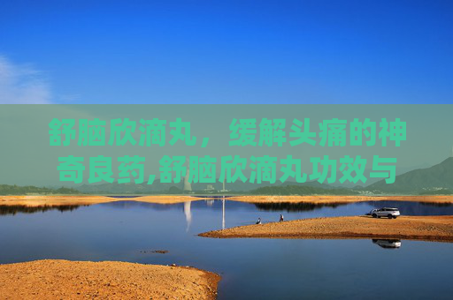 舒脑欣滴丸，缓解头痛的神奇良药,舒脑欣滴丸功效与作用