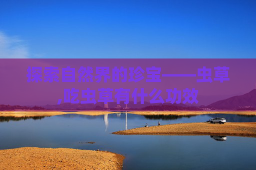 探索自然界的珍宝——虫草,吃虫草有什么功效