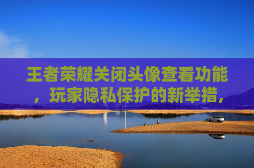 王者荣耀关闭头像查看功能，玩家隐私保护的新举措,王者怎么关闭头像查阅权限