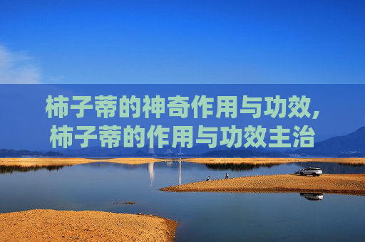 柿子蒂的神奇作用与功效,柿子蒂的作用与功效主治