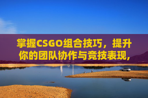 掌握CSGO组合技巧，提升你的团队协作与竞技表现,产品商标怎么查