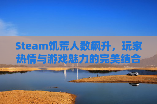 Steam饥荒人数飙升，玩家热情与游戏魅力的完美结合,steam饥荒多少钱联机