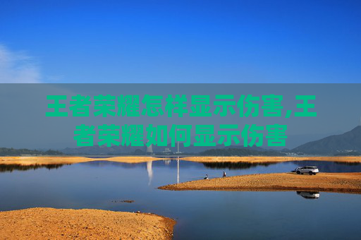 王者荣耀怎样显示伤害,王者荣耀如何显示伤害