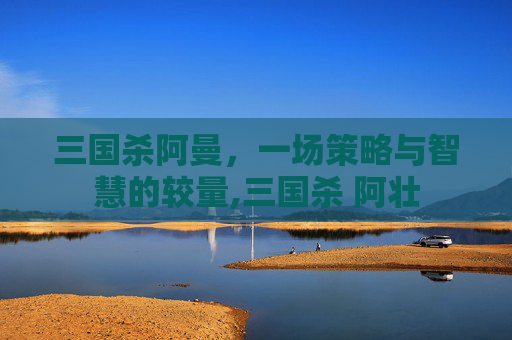 三国杀阿曼，一场策略与智慧的较量,三国杀 阿壮
