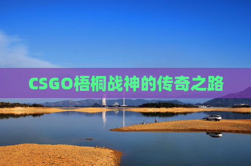 CSGO梧桐战神的传奇之路