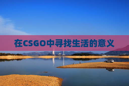在CSGO中寻找生活的意义
