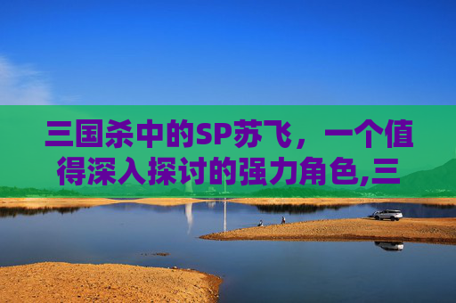三国杀中的SP苏飞，一个值得深入探讨的强力角色,三国杀苏飞配什么