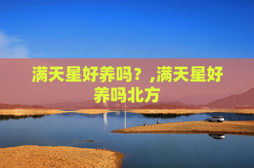 满天星好养吗？,满天星好养吗北方