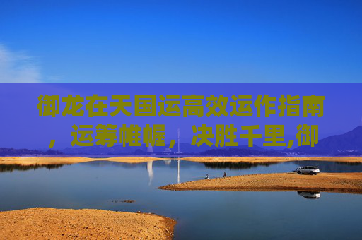御龙在天国运高效运作指南，运筹帷幄，决胜千里,御龙在天国运加多少经验加成