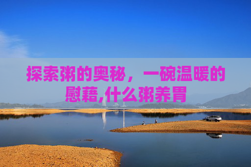 探索粥的奥秘，一碗温暖的慰藉,什么粥养胃