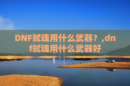 DNF弑魂用什么武器？,dnf弑魂用什么武器好