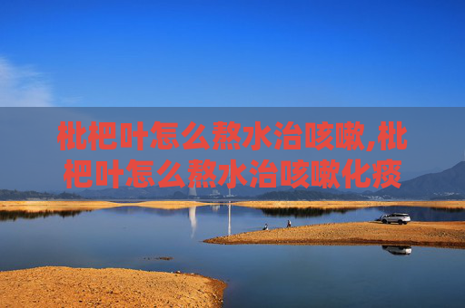 枇杷叶怎么熬水治咳嗽,枇杷叶怎么熬水治咳嗽化痰