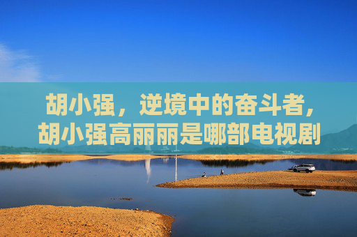 胡小强，逆境中的奋斗者,胡小强高丽丽是哪部电视剧