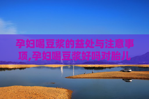 孕妇喝豆浆的益处与注意事项,孕妇喝豆浆好吗对胎儿好吗