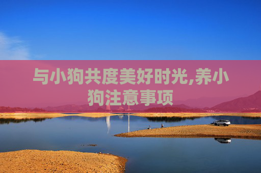 与小狗共度美好时光,养小狗注意事项