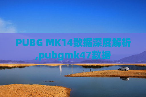PUBG MK14数据深度解析,pubgmk47数据