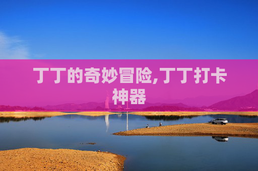丁丁的奇妙冒险,丁丁打卡神器