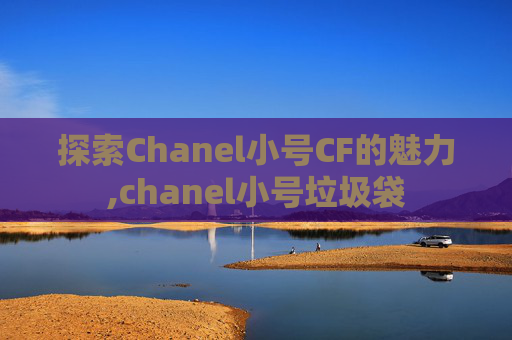 探索Chanel小号CF的魅力,chanel小号垃圾袋