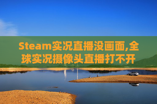 Steam实况直播没画面,全球实况摄像头直播打不开