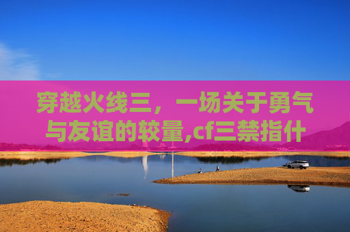 穿越火线三，一场关于勇气与友谊的较量,cf三禁指什么