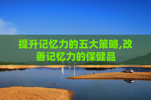 提升记忆力的五大策略,改善记忆力的保健品