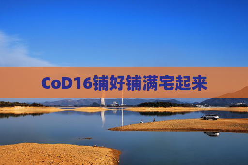 CoD16铺好铺满宅起来