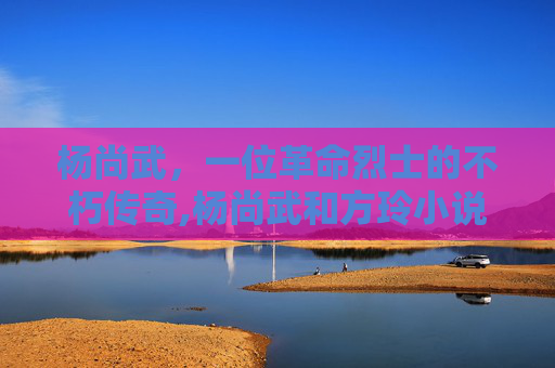 杨尚武，一位革命烈士的不朽传奇,杨尚武和方玲小说