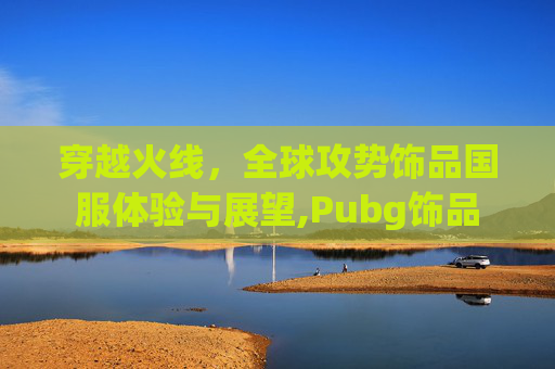 穿越火线，全球攻势饰品国服体验与展望,Pubg饰品