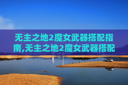 无主之地2魔女武器搭配指南,无主之地2魔女武器搭配图