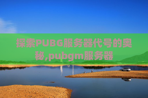探索PUBG服务器代号的奥秘,pubgm服务器