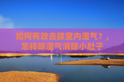 如何有效去除室内湿气？,怎样除湿气消除小肚子