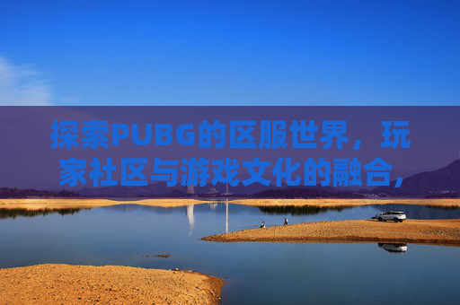 探索PUBG的区服世界，玩家社区与游戏文化的融合,PUBG各服