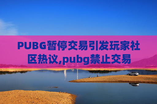 PUBG暂停交易引发玩家社区热议,pubg禁止交易
