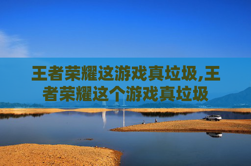 王者荣耀这游戏真垃圾,王者荣耀这个游戏真垃圾