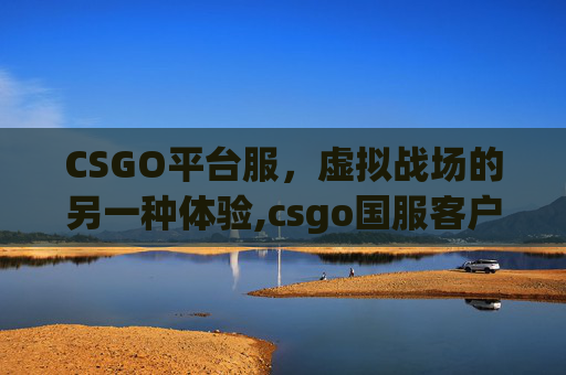 CSGO平台服，虚拟战场的另一种体验,csgo国服客户端