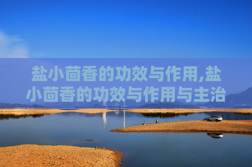 盐小茴香的功效与作用,盐小茴香的功效与作用与主治