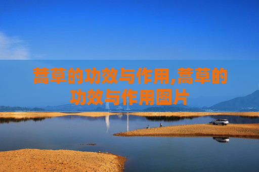 蒿草的功效与作用,蒿草的功效与作用图片