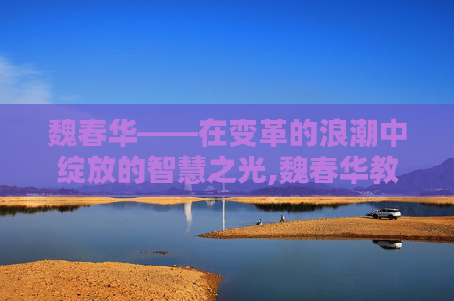 魏春华——在变革的浪潮中绽放的智慧之光,魏春华教授