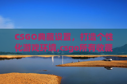 CSGO典藏设置，打造个性化游戏环境,csgo所有收藏品一览