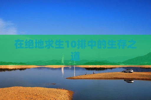 在绝地求生10排中的生存之道