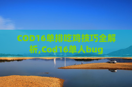 COD16单排吃鸡技巧全解析,Cod16单人bug
