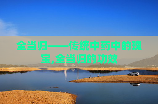 全当归——传统中药中的瑰宝,全当归的功效