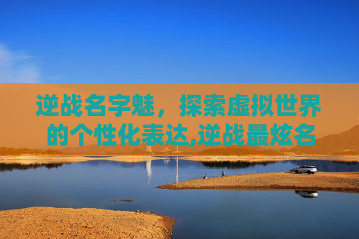 逆战名字魅，探索虚拟世界的个性化表达,逆战最炫名字