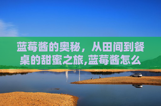 蓝莓酱的奥秘，从田间到餐桌的甜蜜之旅,蓝莓酱怎么制作