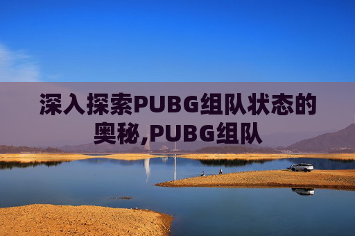 深入探索PUBG组队状态的奥秘,PUBG组队