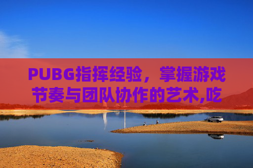 PUBG指挥经验，掌握游戏节奏与团队协作的艺术,吃鸡里的指挥官什么意思