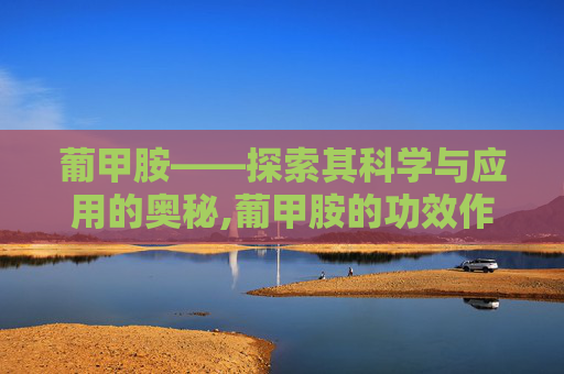 葡甲胺——探索其科学与应用的奥秘,葡甲胺的功效作用