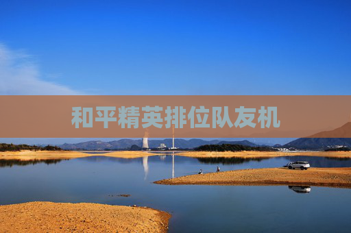 和平精英排位队友机